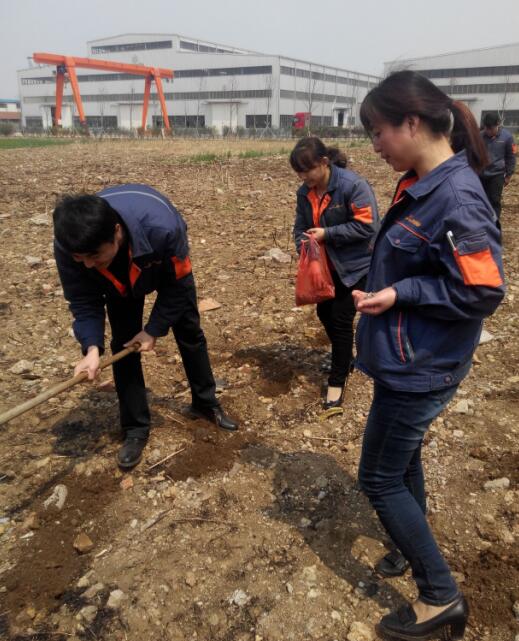 凱能采購(gòu)部播種