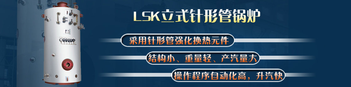 LSK立式針形管鍋爐