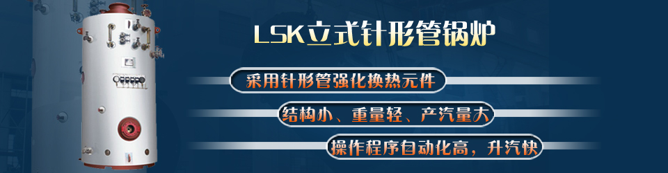專業(yè)的LSK立式針形管鍋爐制造商