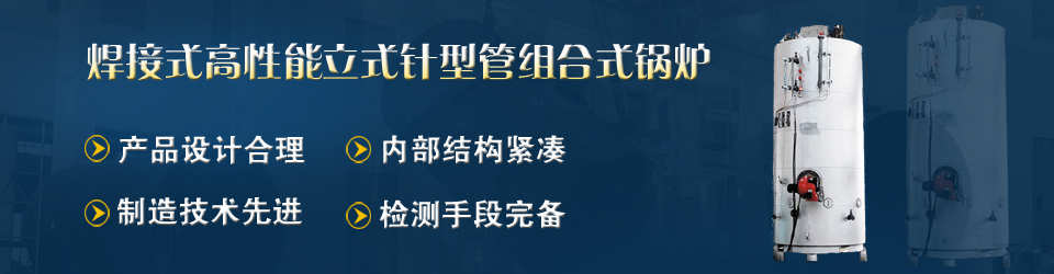 專業(yè)的ZYS型立式針形管鍋爐制造商